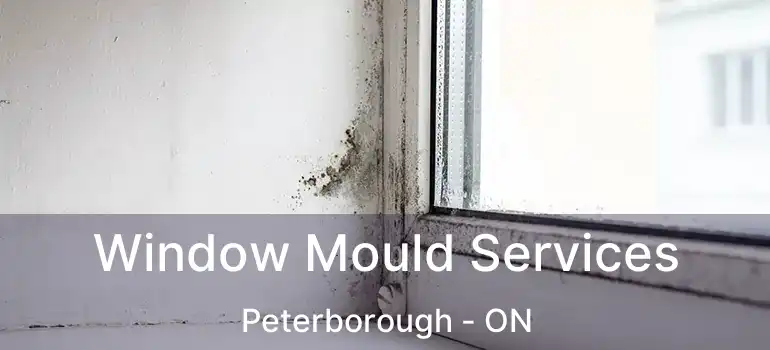  Window Mould Services Peterborough - ON